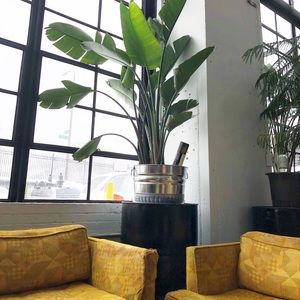 Meet your Posher, River